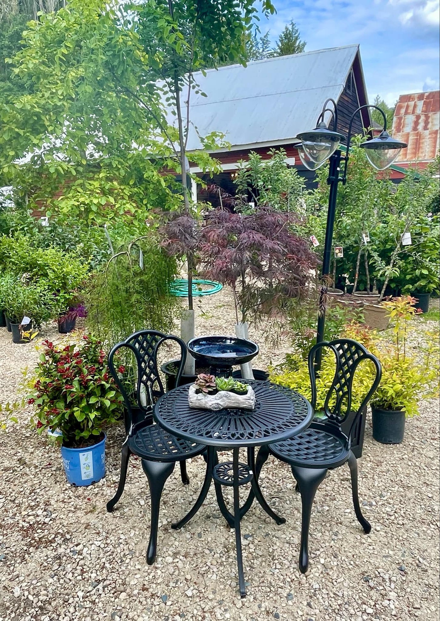 Nakusp Heritage Nursery