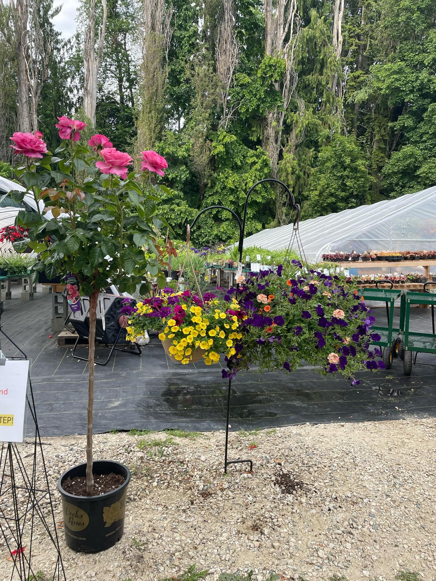 Nakusp Heritage Nursery