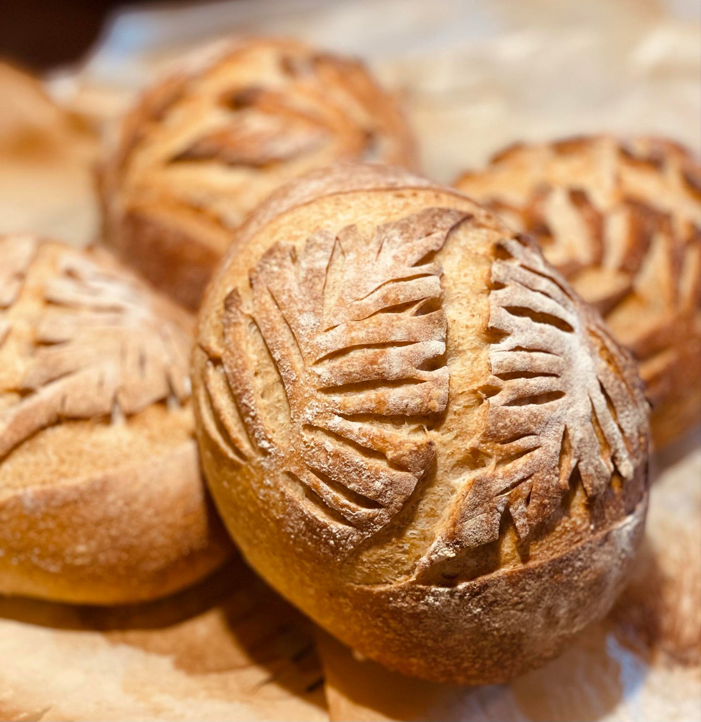 Heidi, The Bread Lady