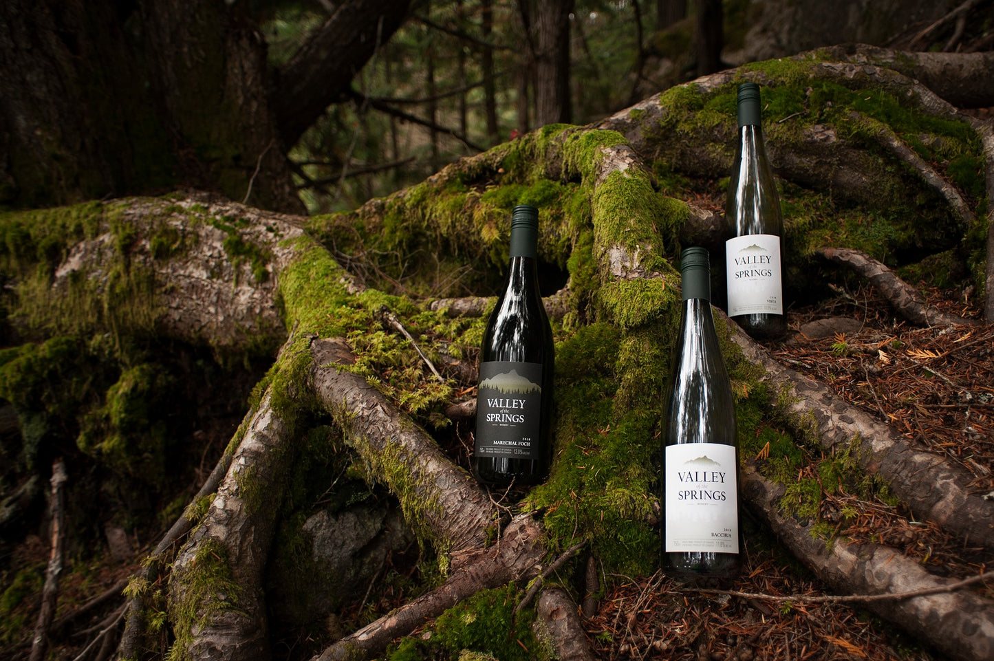 Valley of the Springs Winery