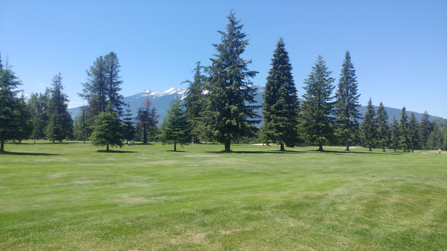 Nakusp Centennial Golf Club