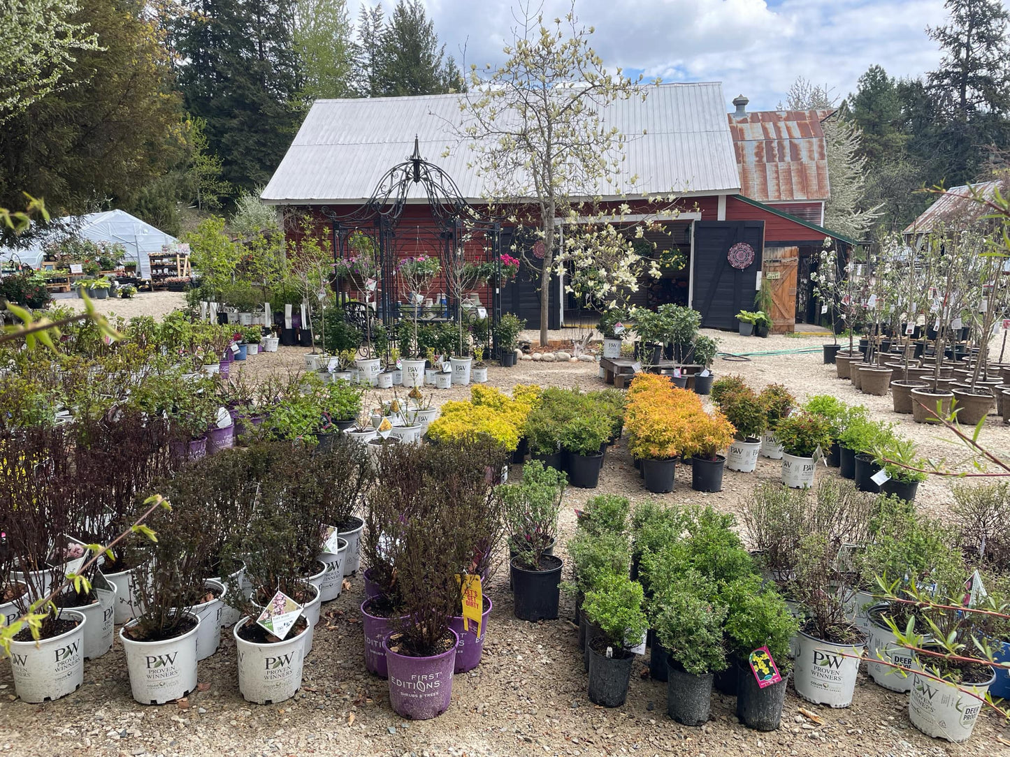 Nakusp Heritage Nursery